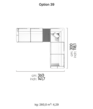 Le Mans Sectional