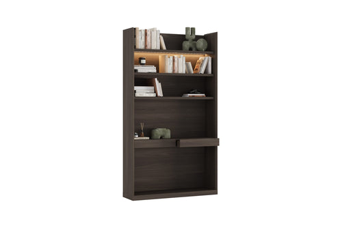Mueble de TV y pared Luis