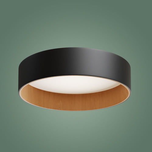 Roof Plafonyer Plain 55