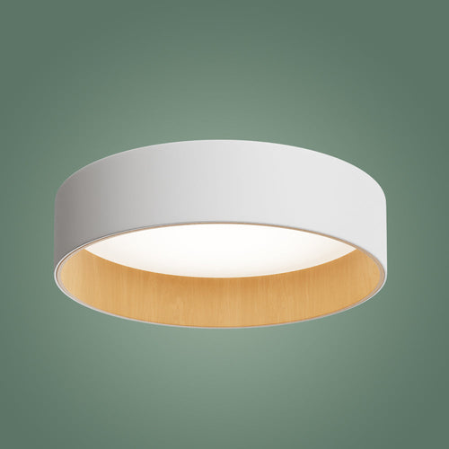 Roof Plafonyer Plain 55