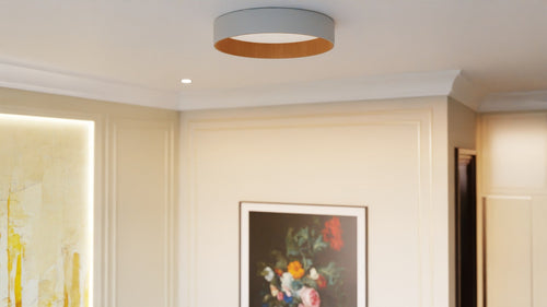 Roof Plafonyer Plain 55