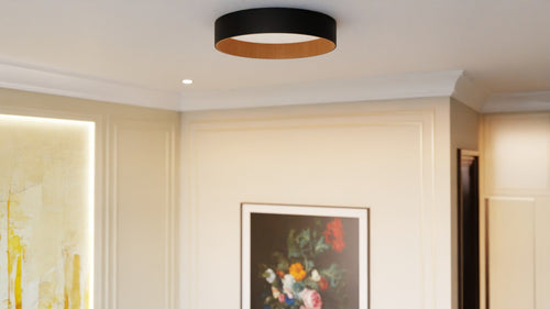 Roof Plafonyer Plain 55
