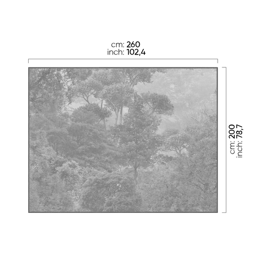 KZY 001