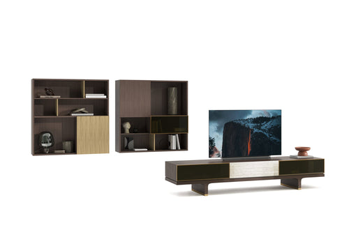 Hector TV Unit