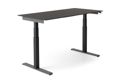 Joy Study Desk