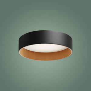 Roof Plafonyer Plain 45