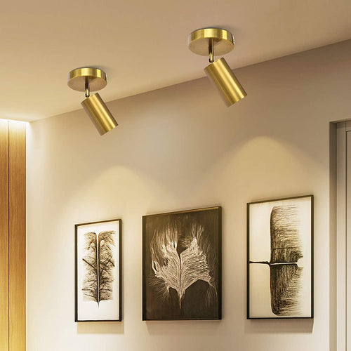 Hive Spot Single - Matte Brass